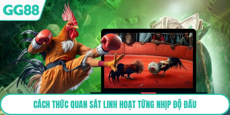 Cách thức quan sát linh hoạt từng nhịp độ đấu