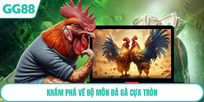 Khám phá về bộ môn đá gà cựa tròn