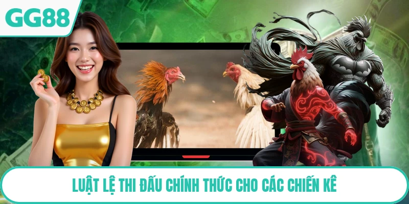 Luật lệ thi đấu chính thức cho các chiến kê