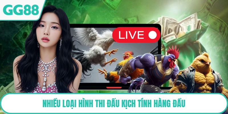 Nhiều loại hình thi đấu kịch tính hàng đầu