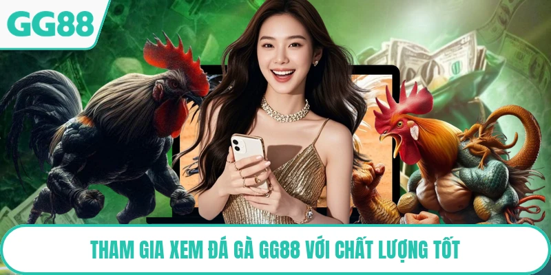 Tham gia xem đá gà GG88 với chất lượng tốt